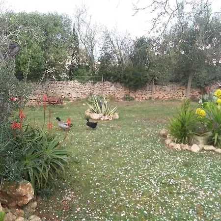Sa Rota Holiday home Santa Margarita (Mallorca)