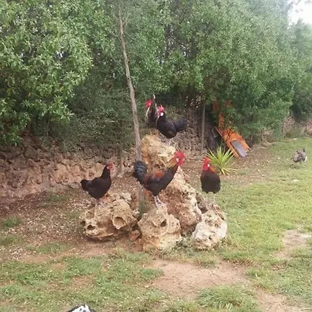 Сasa de vacaciones Sa Rota Santa Margarita (Mallorca)